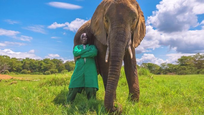 A person in traditional attire stands beside a large elephant in a grassy field.